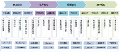 精準醫療產業的發展邏輯 細胞技術研發與應用的核心驅動力
