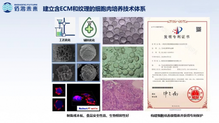 細胞培養肉技術新突破 佰鴻引領國際微載體誘導成肌技術，開創蛋白新篇章