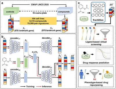 細胞技術研發與應用 前沿突破與未來展望