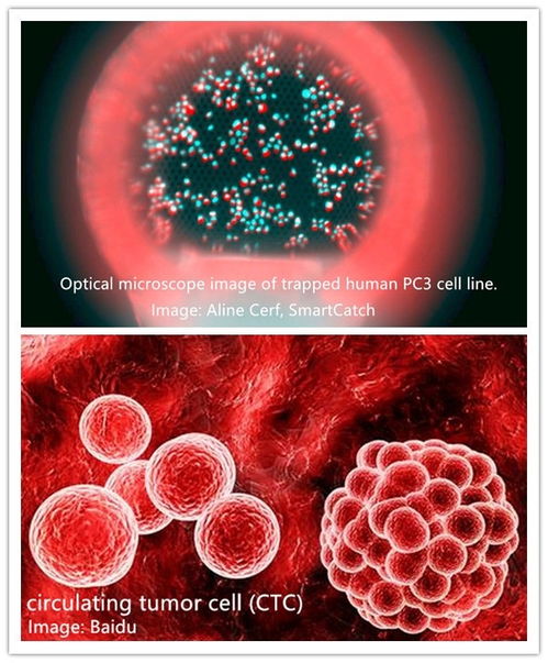 德國Nanoscribe超高精度雙光子微納3D打印設備 引領細胞技術研發與應用的革命