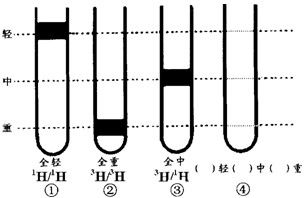 驗(yàn)證DNA半保留復(fù)制的實(shí)驗(yàn)設(shè)計(jì)與技術(shù)應(yīng)用